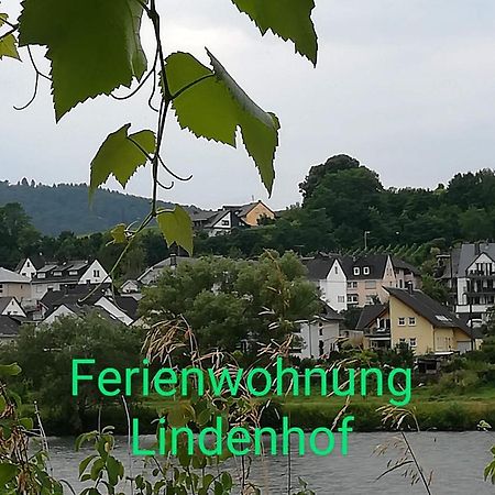 Die Ferienwohnung Lindenhof Целль-ан-дер-Мозель Экстерьер фото